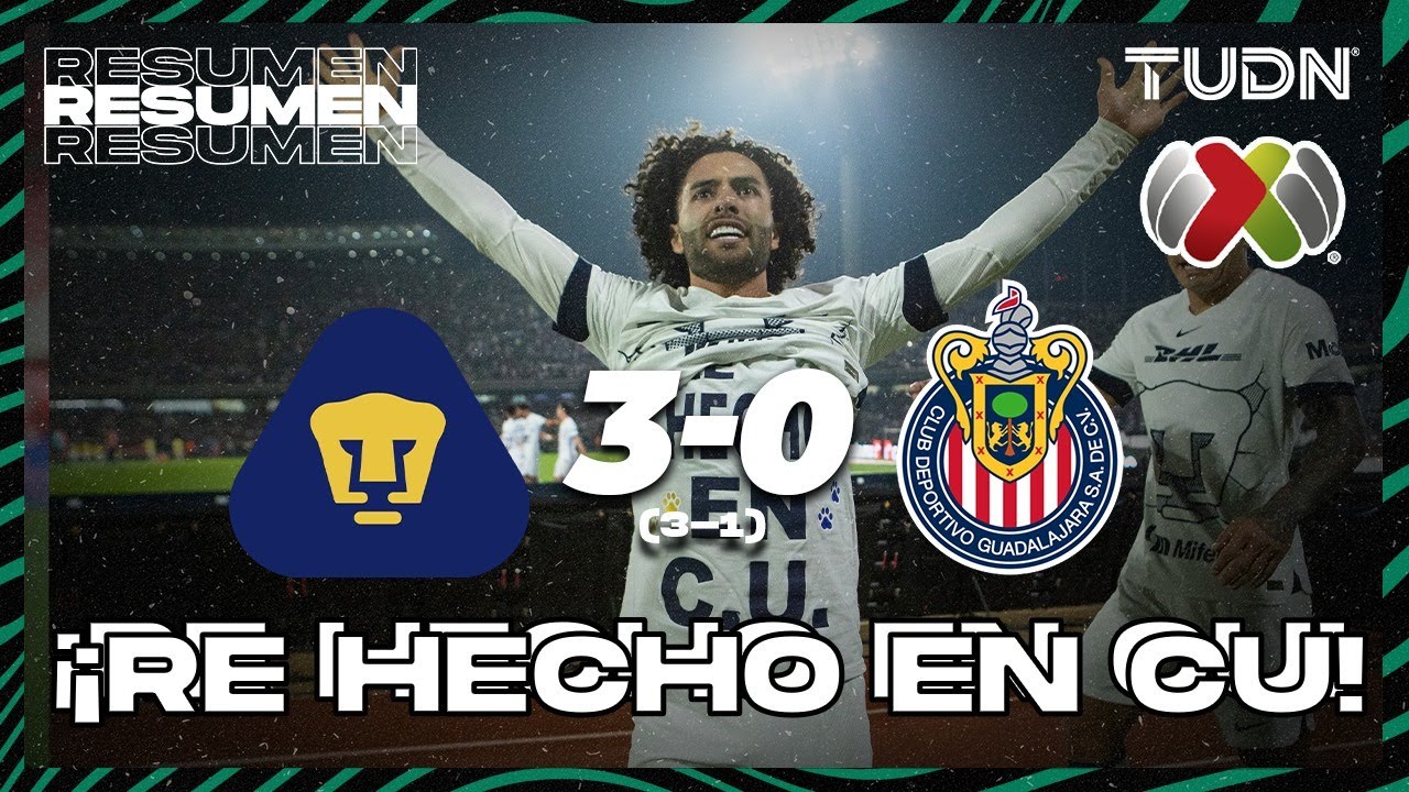 resumen