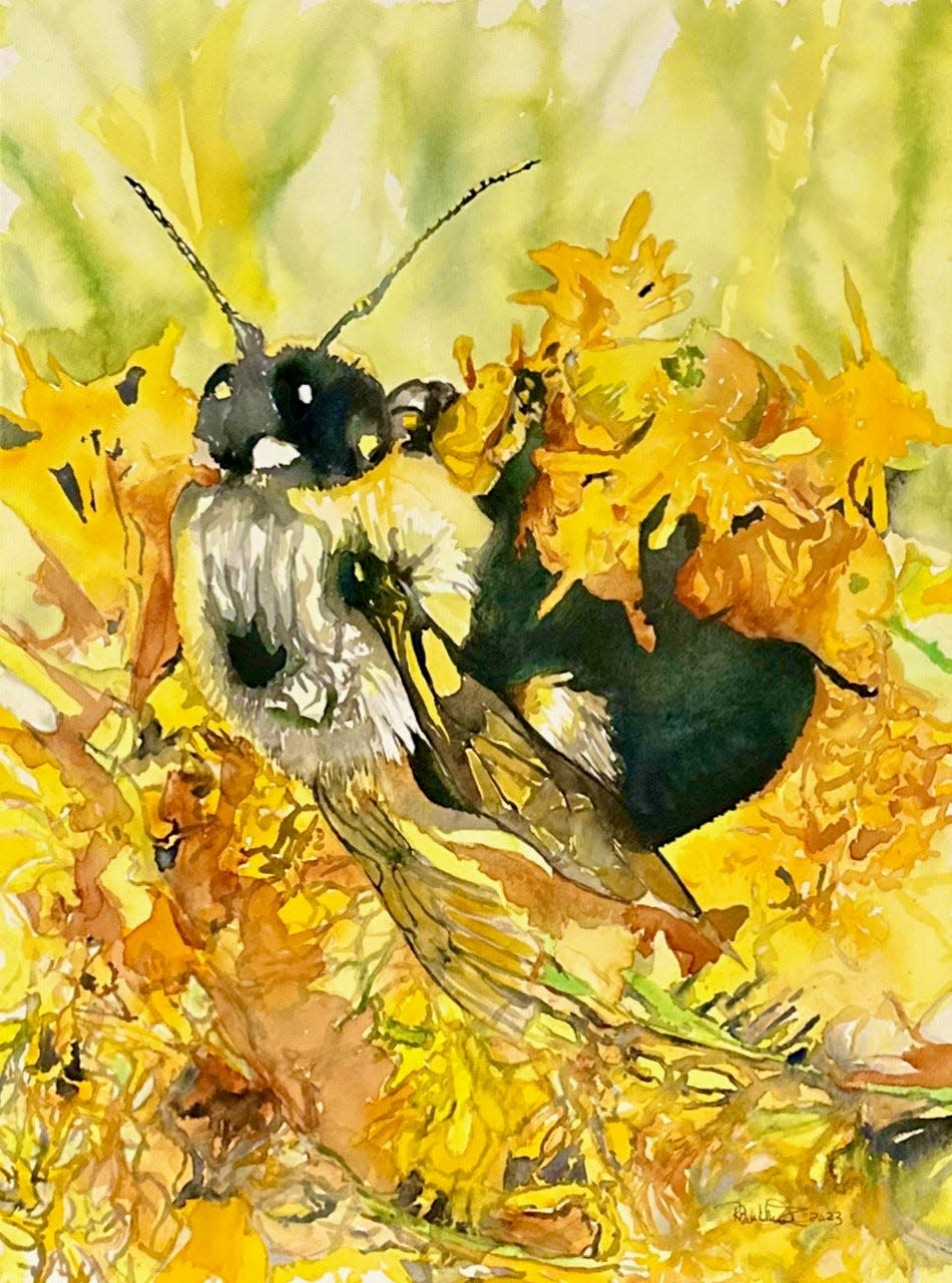"Abejas o no abejas," La acuarela fue creada por Rob Burkhard, artista y propietario de Village Art and Create Goods en Cleveland, Wisconsin.