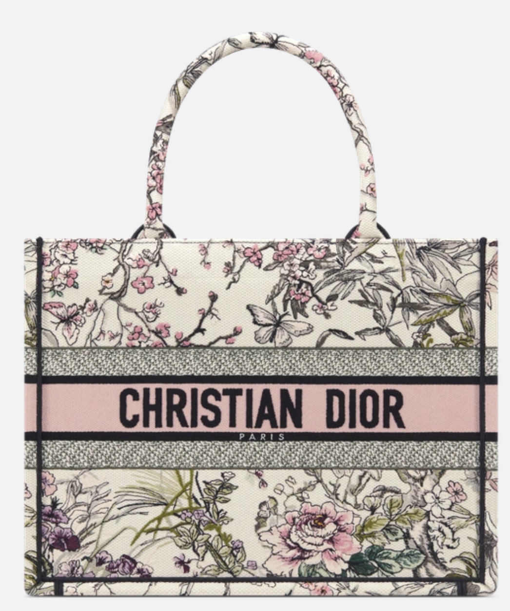 Dior, Libro Diior moderado