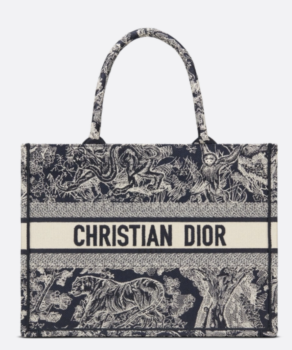 Dior, Libro Diior moderado