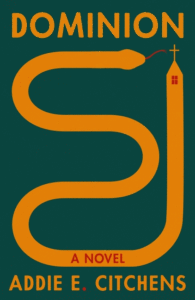 Cubierta de dominio
