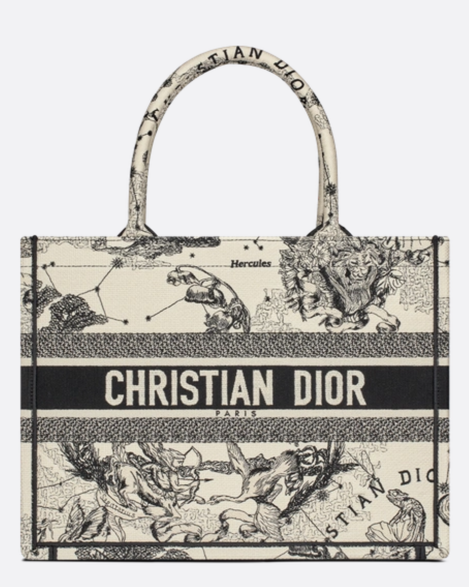 Dior, Libro Diior moderado