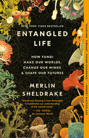 Live by Merlin Sheldrake