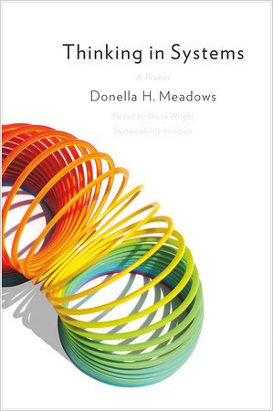 Sistema de pensamiento con Donella Meadow