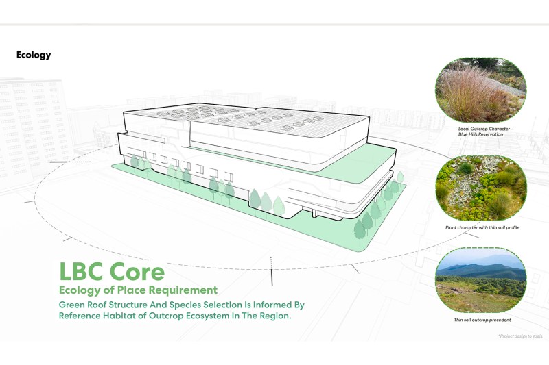Representaciones arquitectónicas de las características ecológicas de un complejo deportivo polivalente sostenible en la región Nordeste. El diagrama muestra el techo verde del edificio y el diseño del paisaje natural, con tres imágenes circulares: un jardín de lluvia con pastos tolerantes a la sequía, plantas nativas de humedales y el paisaje natural de Middlesex Fells que influyó en la selección de plantas. El texto indica ubicaciones ecológicas clave del LBC, con estructura de techos verdes y selección de especies reportadas por hábitats nativos de la Biorregión del Gran Boston en el Antropoceno.