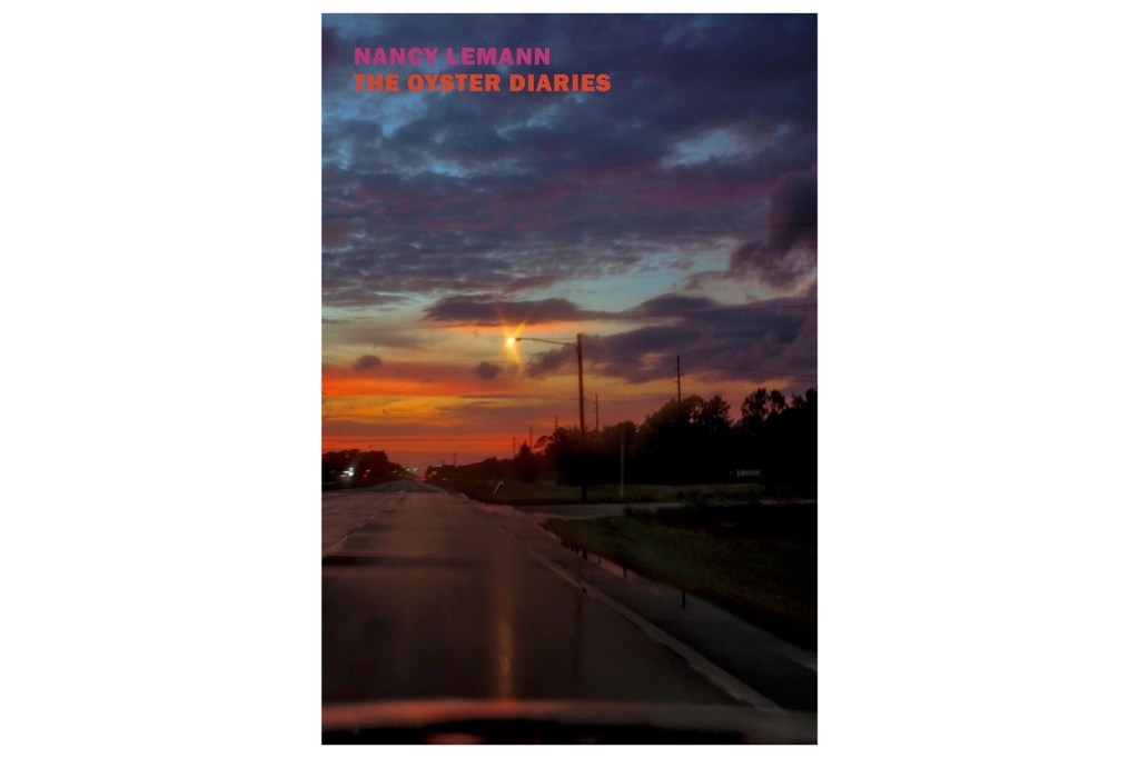 portada del libro "Diario de ostras" Nancy Lehmann muestra la carretera iluminada por las farolas al atardecer.