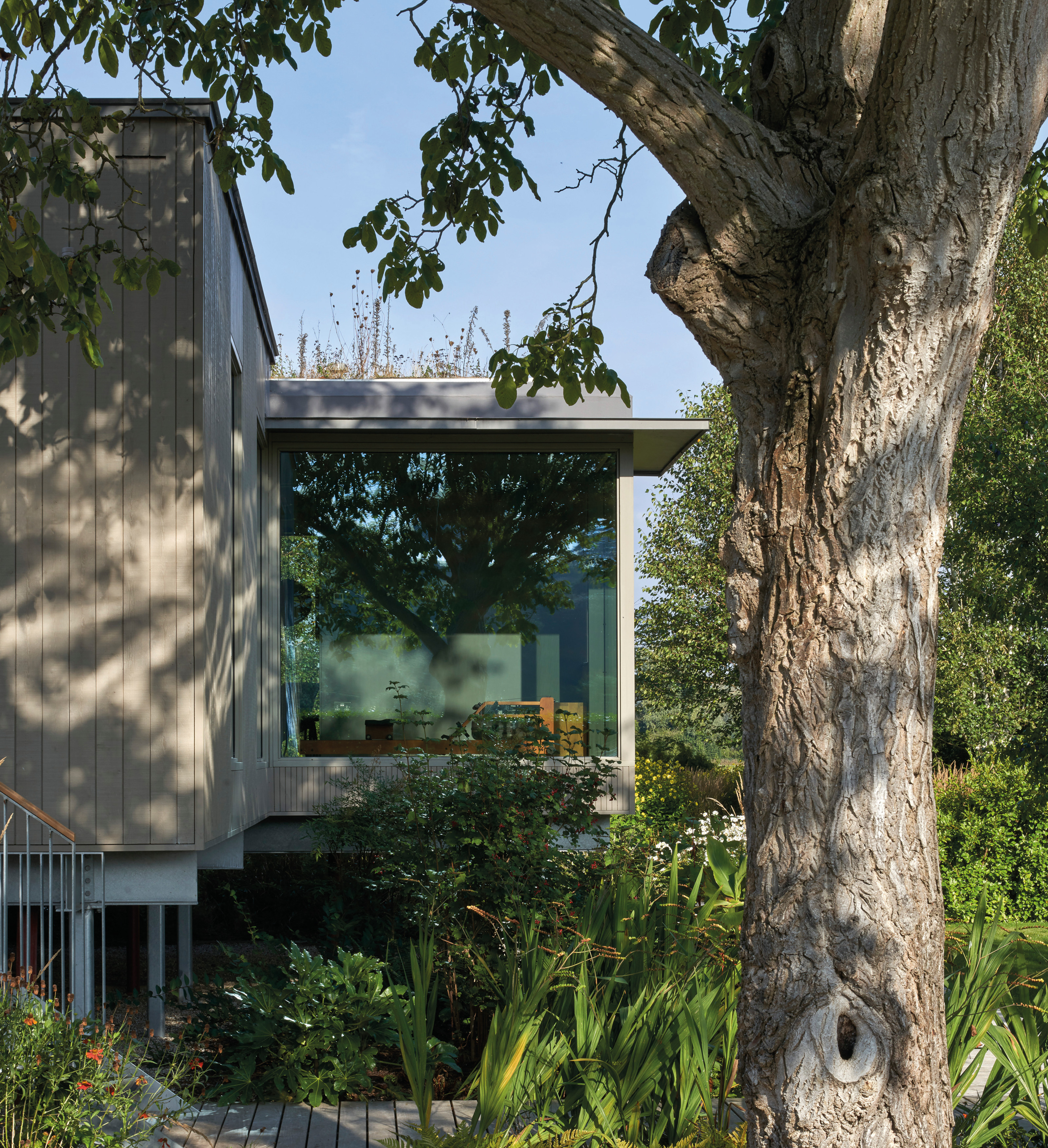 Casa de marzo, Knox Bhavan, Reino Unido