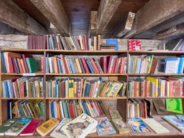 Estantes llenos de libros en Baldwin Book Barn en West Chester, Pensilvania